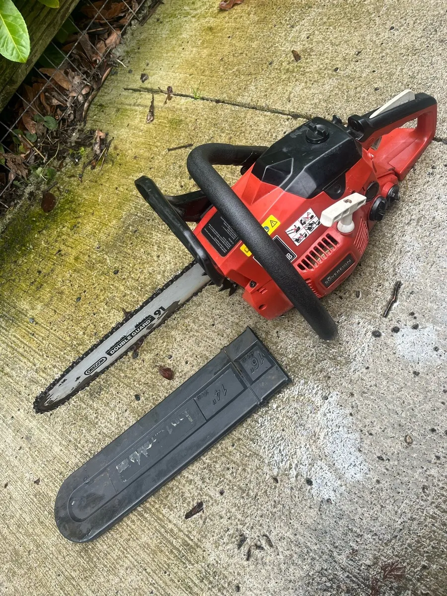 Chainsaw - Image 4