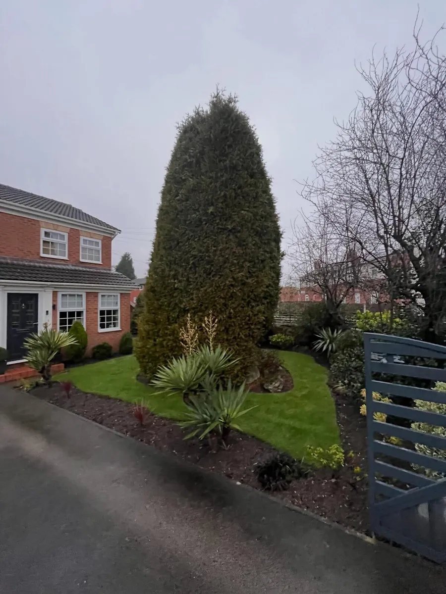 M.R GARDENING & TREE SERVICE - Image 3