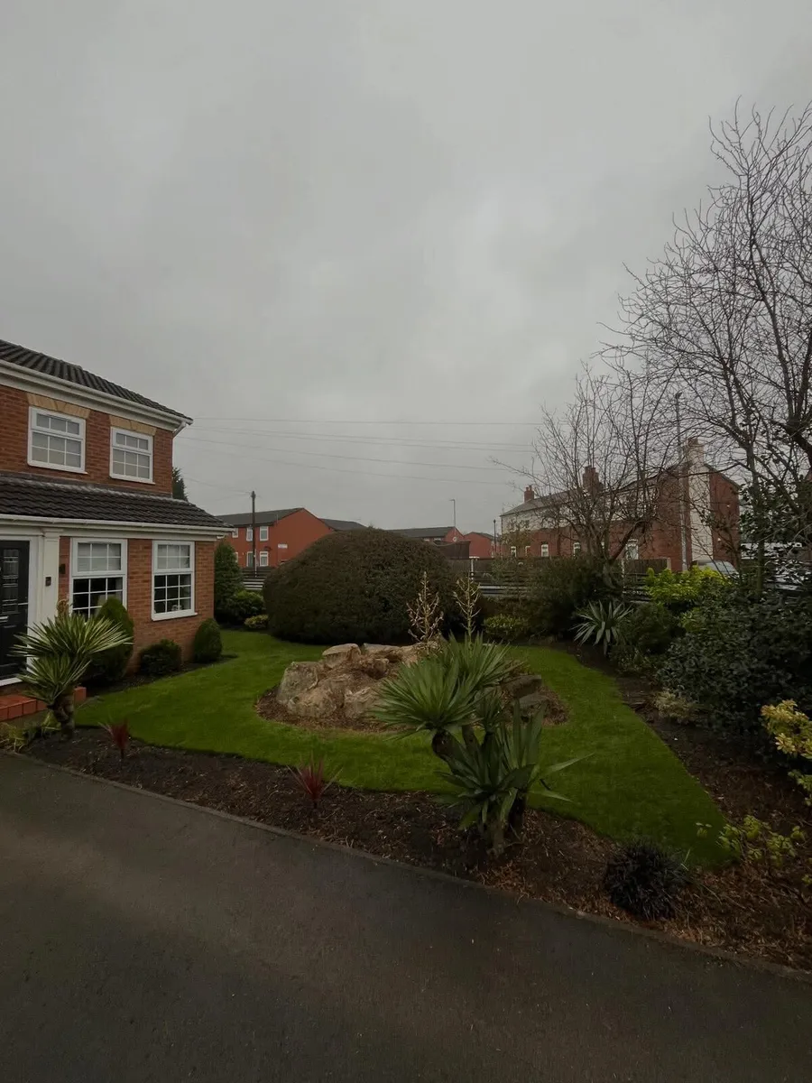 M.R GARDENING & TREE SERVICE - Image 4