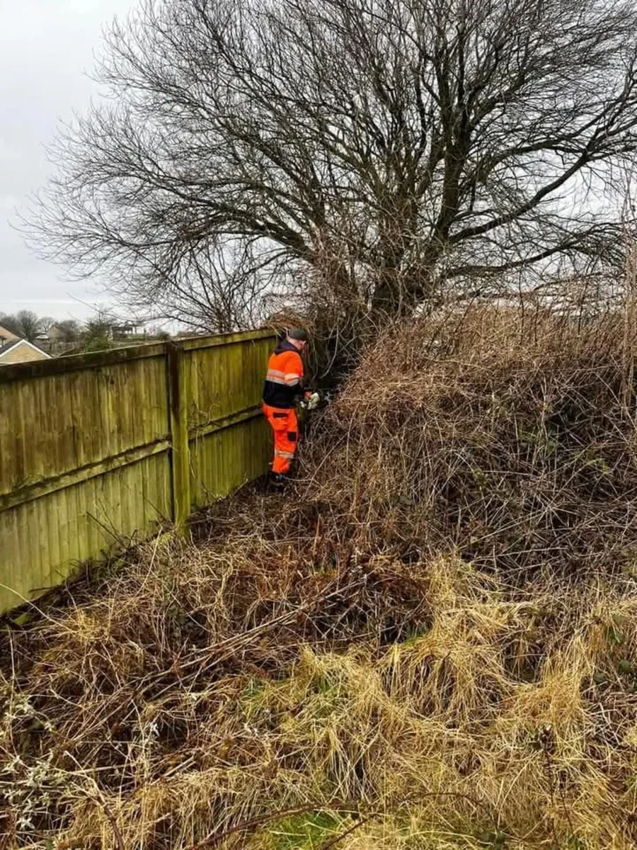 M.R GARDENING & TREE SERVICE - Image 4