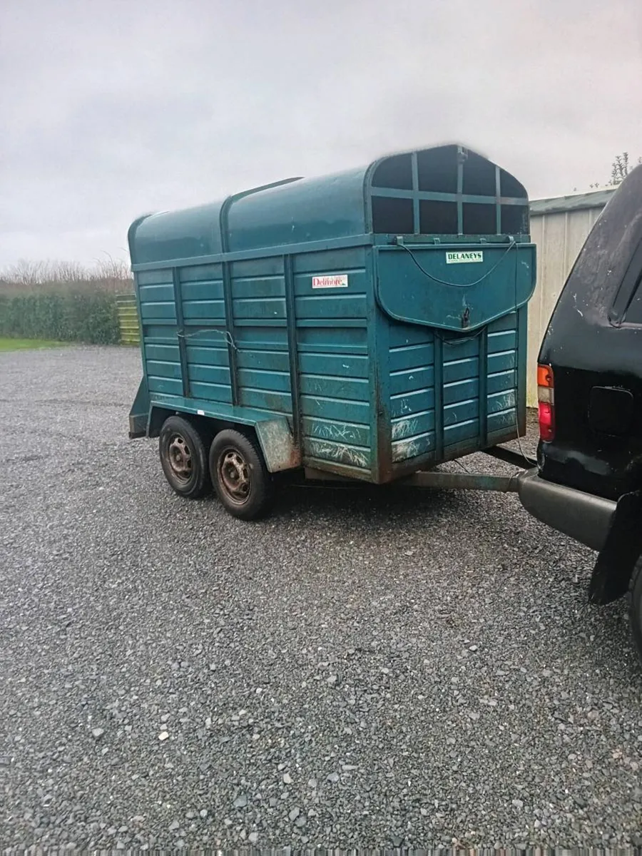 Cattle trailer 8x5 - Image 1