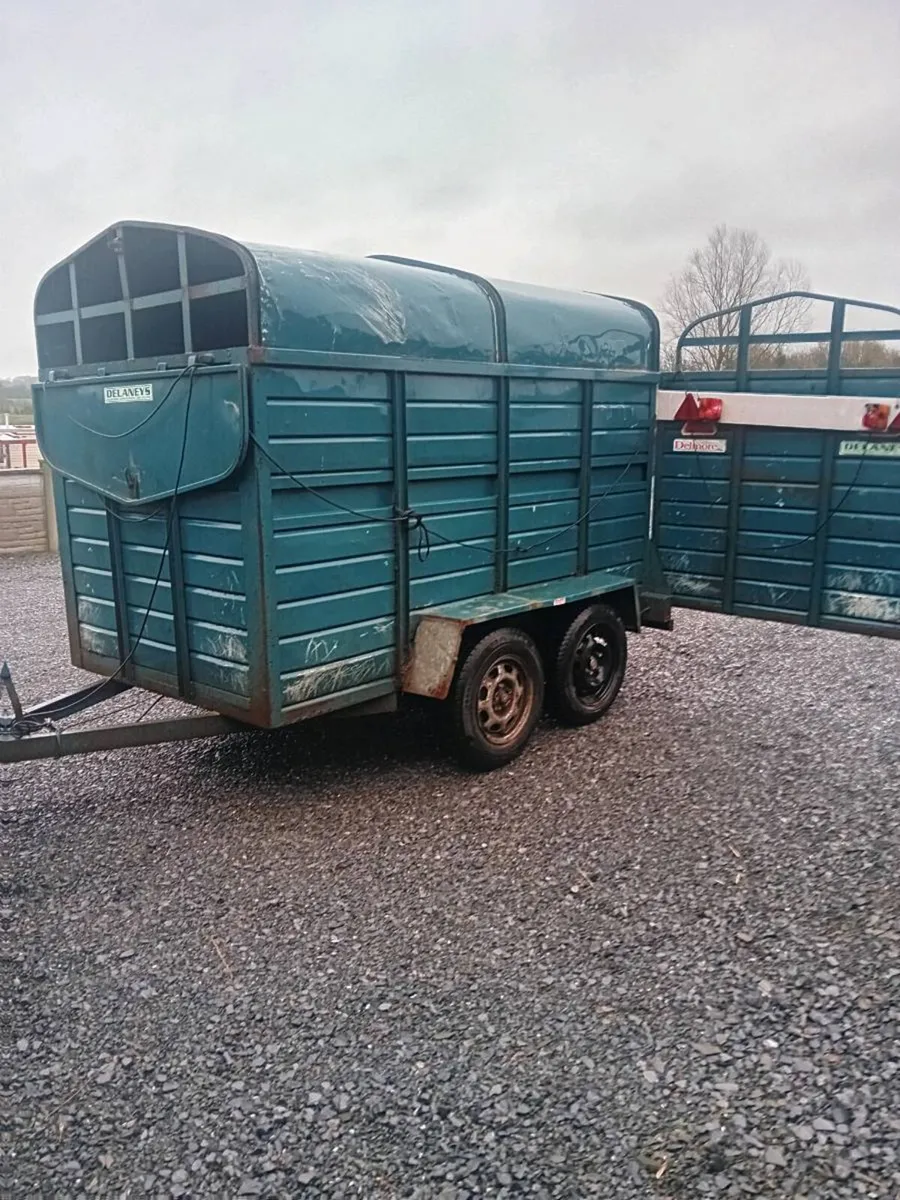 Cattle trailer 8x5 - Image 3