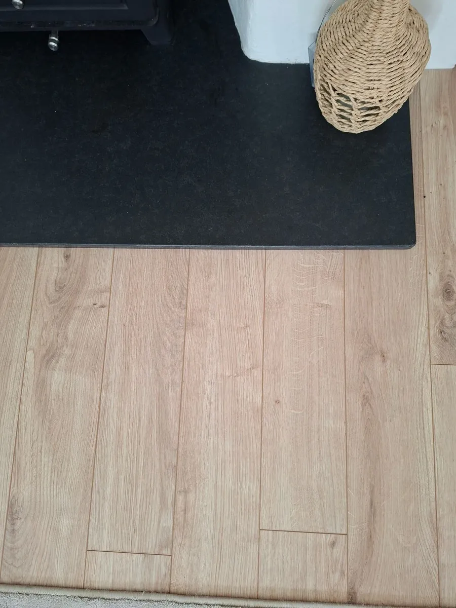 Egger Pro Dunnington Light Laminate flooring - Image 3