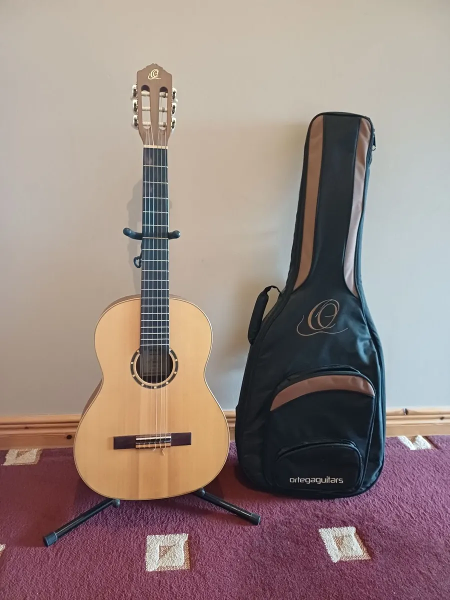 Left handed guitar - Image 1