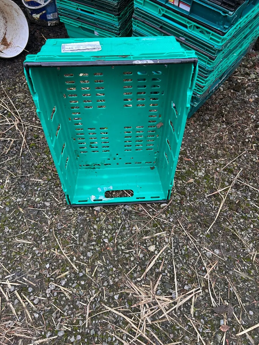 Plastic trays - Image 2