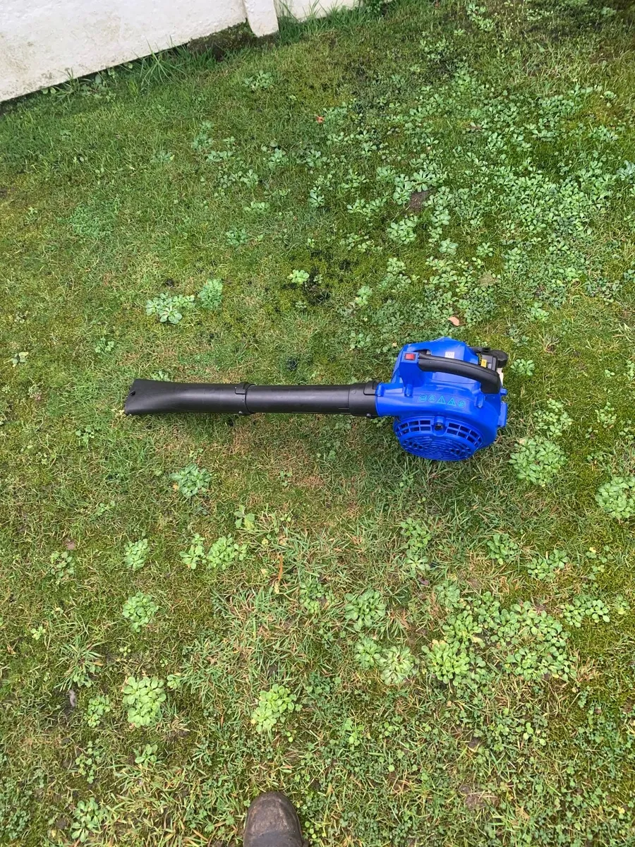 Blower - Image 2