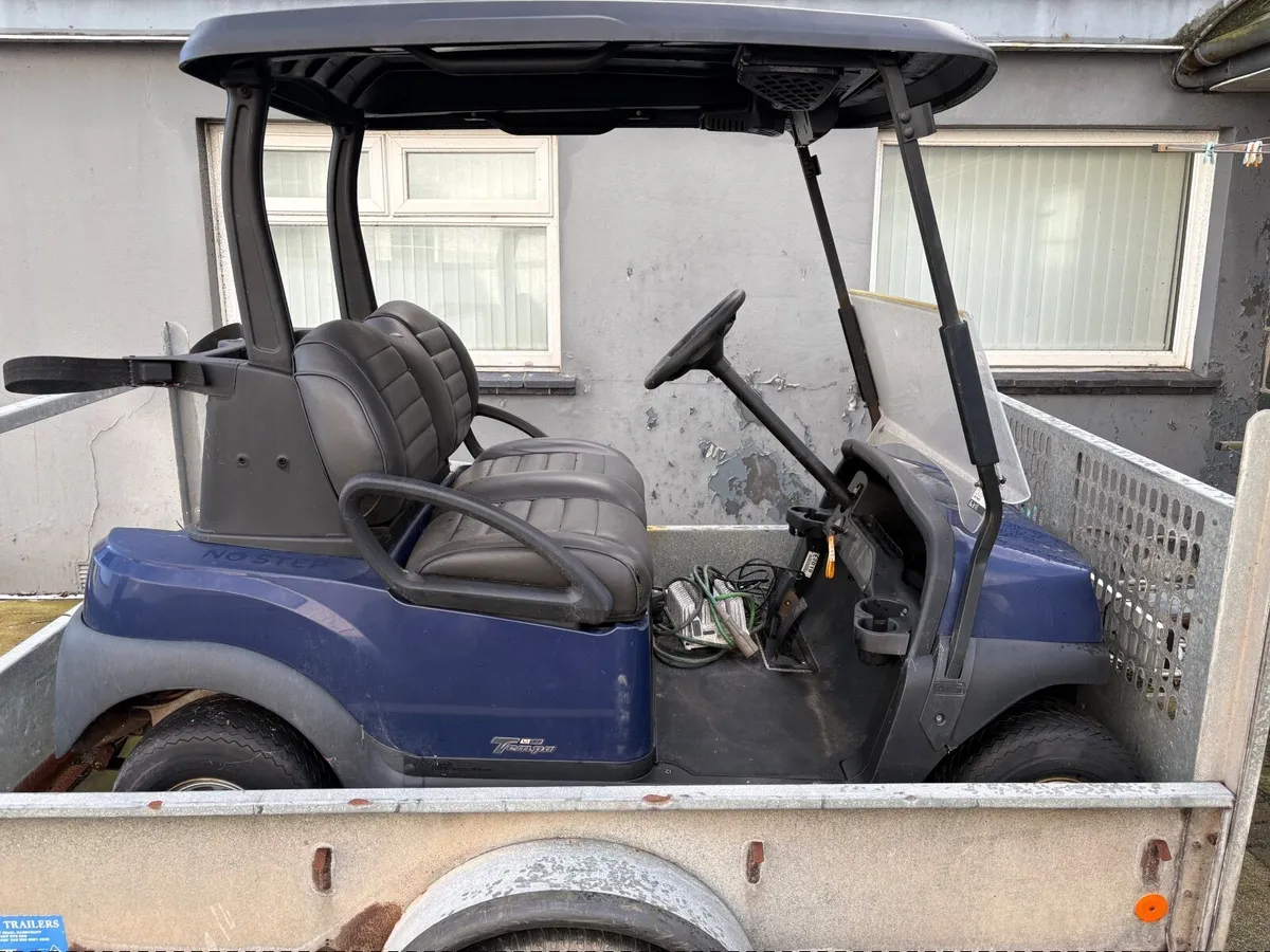 Electric golf buggy - Image 2