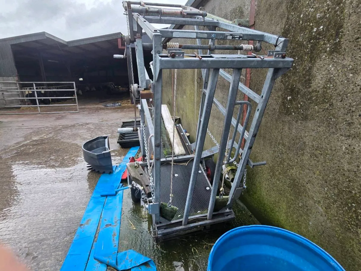 Hoof pairing crate - Image 1