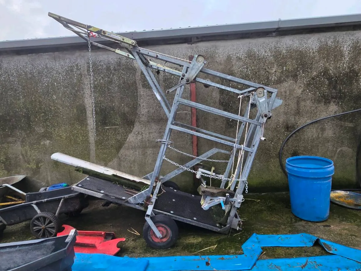 Hoof pairing crate - Image 2