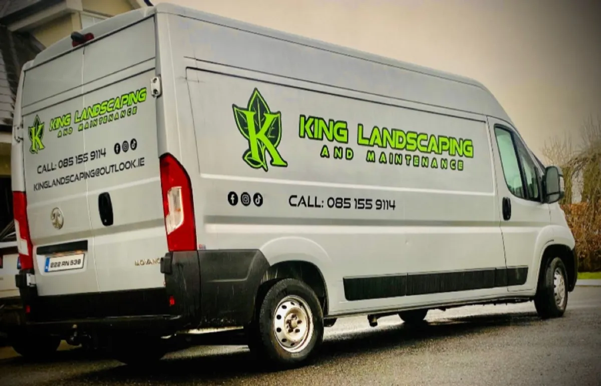 Chainsaw work/Tree felling/hedge trimming - Image 1