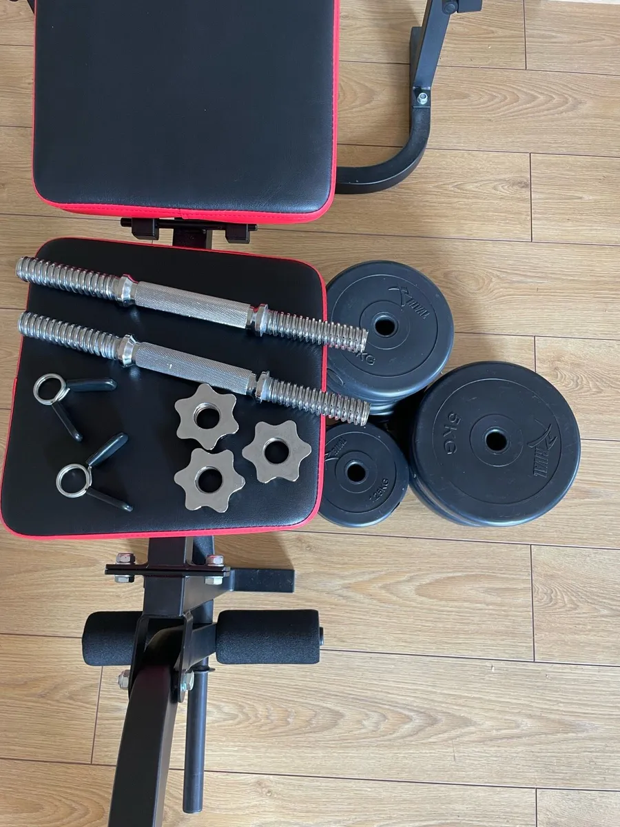 Rival bench + weights open to offers - Image 2