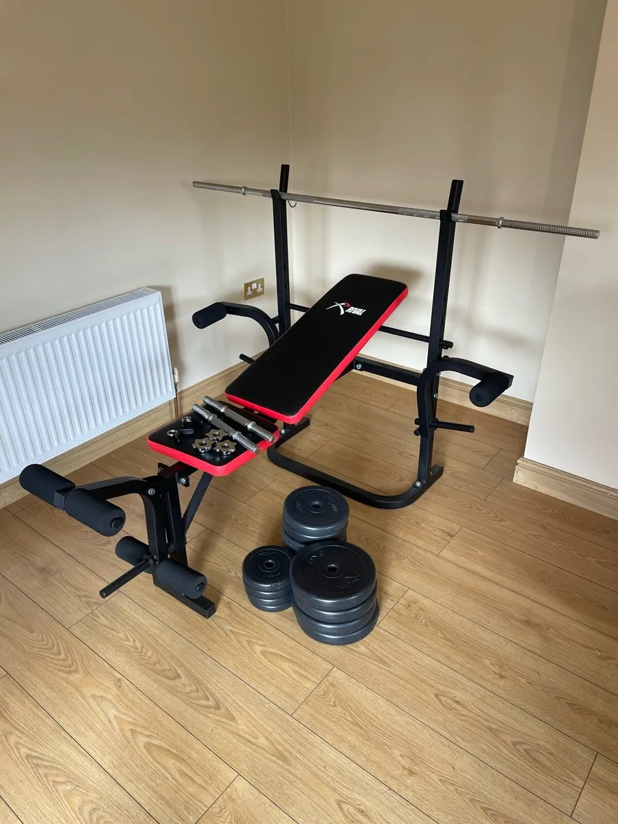 Rival bench + weights open to offers - Image 1