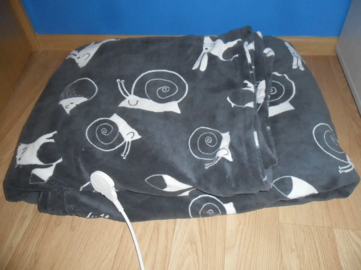 Electric Heated Blanket - Image 3