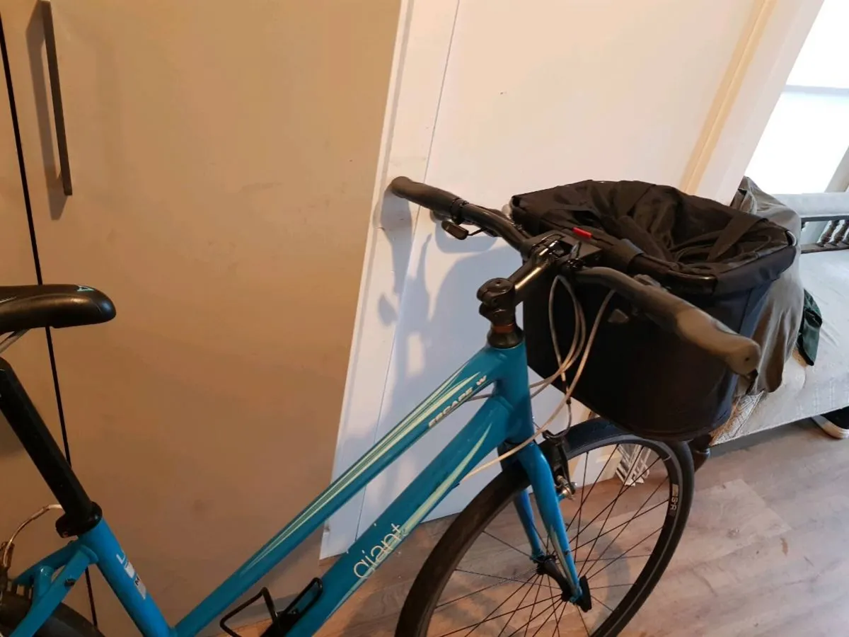 Ladies hybrid giant - Image 2