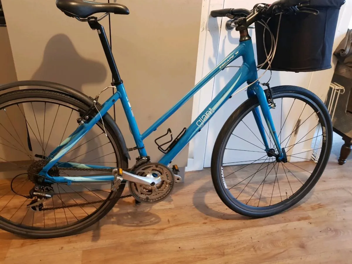 Ladies hybrid giant - Image 3