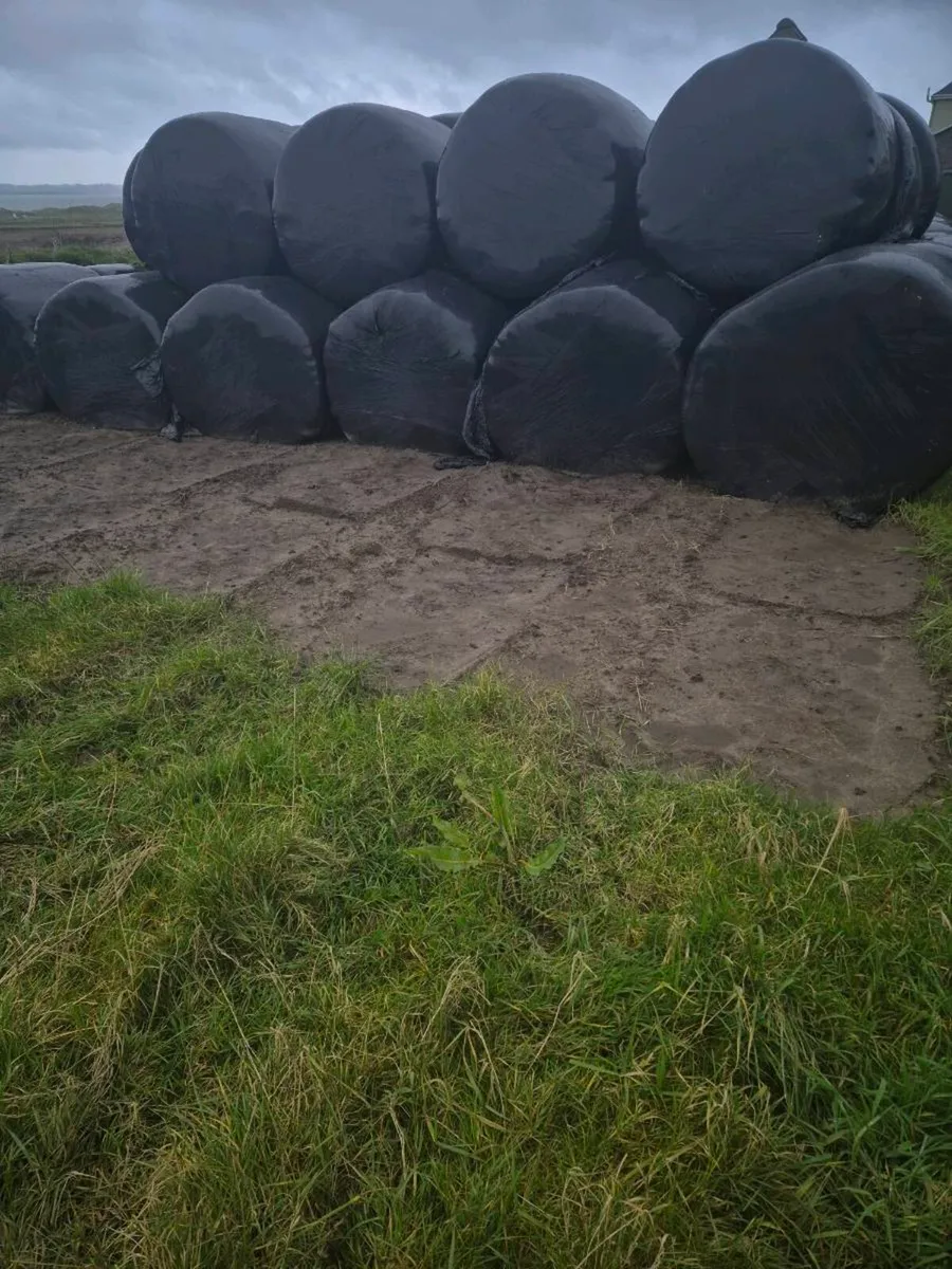Silage - Image 2