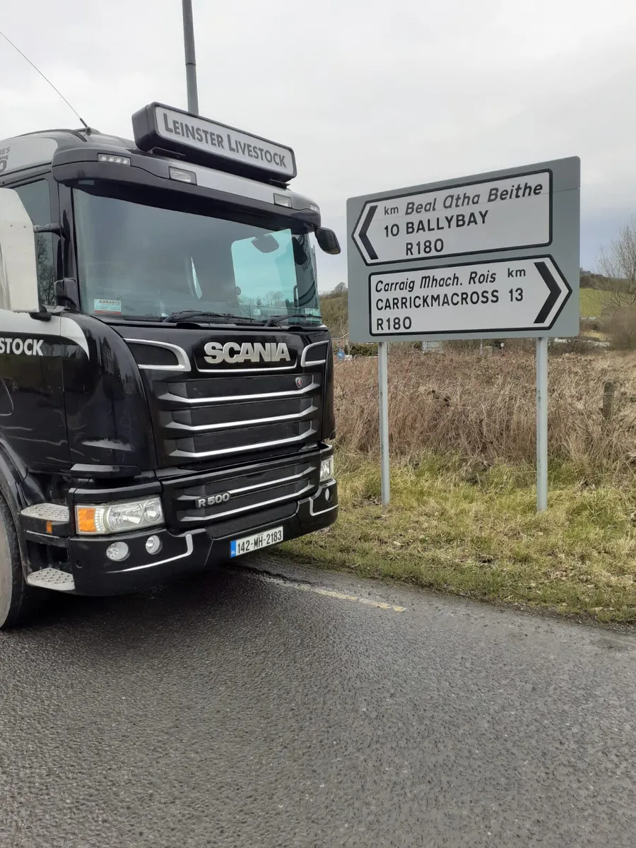 Better Value than a Bull Weanling ? - Image 2