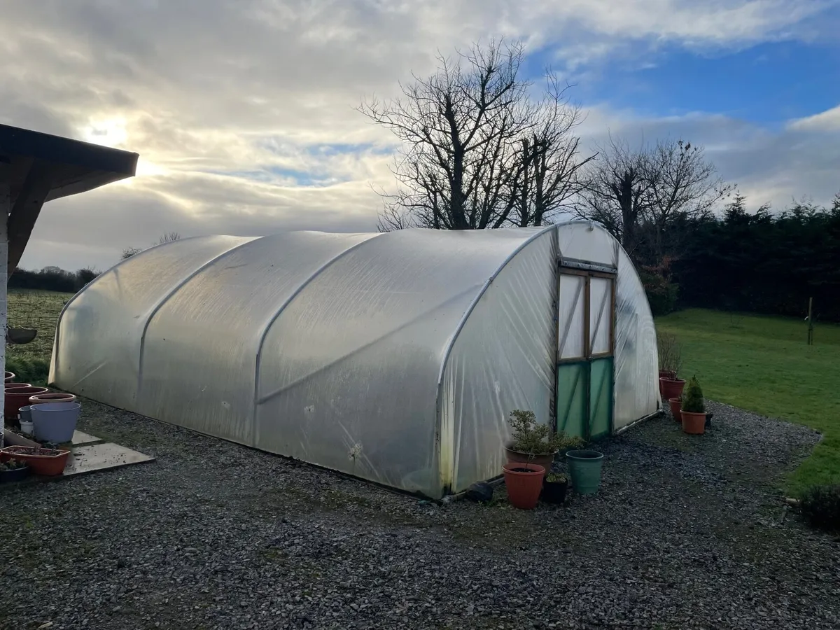 Heavy duty Polytunnel frame - Image 1