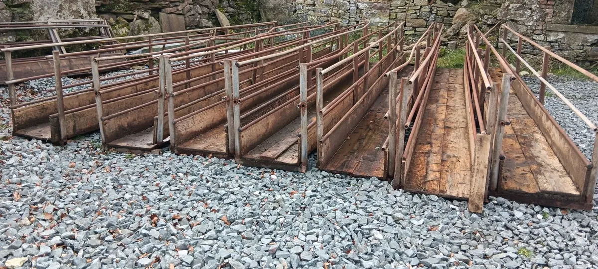 penning and feeders for a sheep shed 50 x 60 foot - Image 1