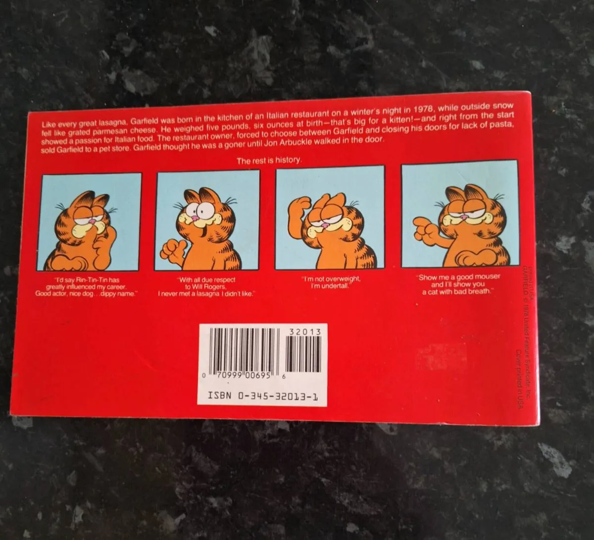 Garfield at Large His First Book - Image 2