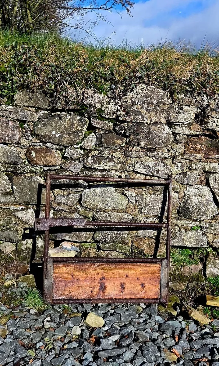 penning and feeders for a sheep shed 50 x 60 foot - Image 4