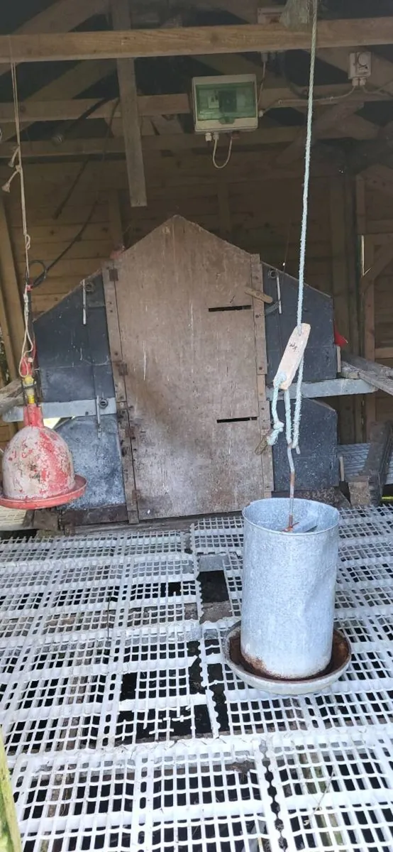 Freerange hen house - Image 2