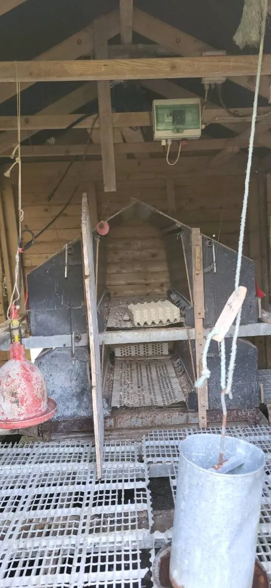 Freerange hen house - Image 3