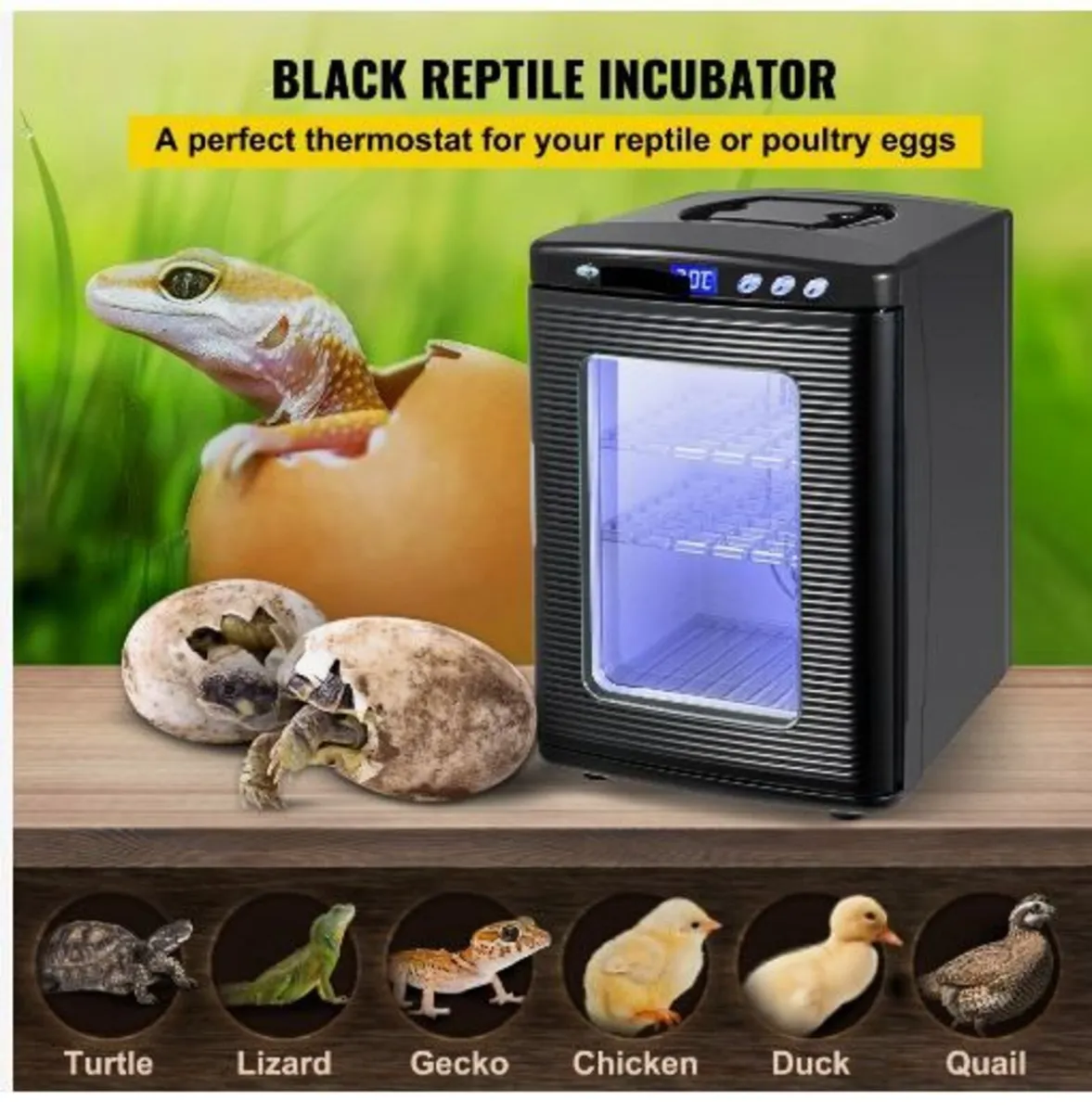 Black Reptile Incubator 25L - Image 2