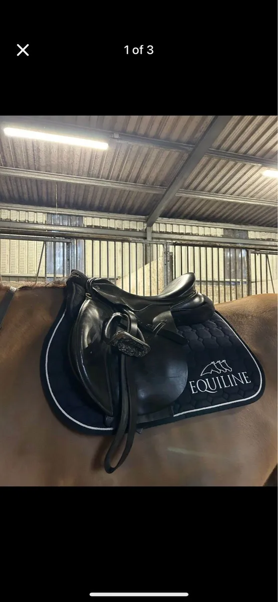 Black Country Saddle - Image 1