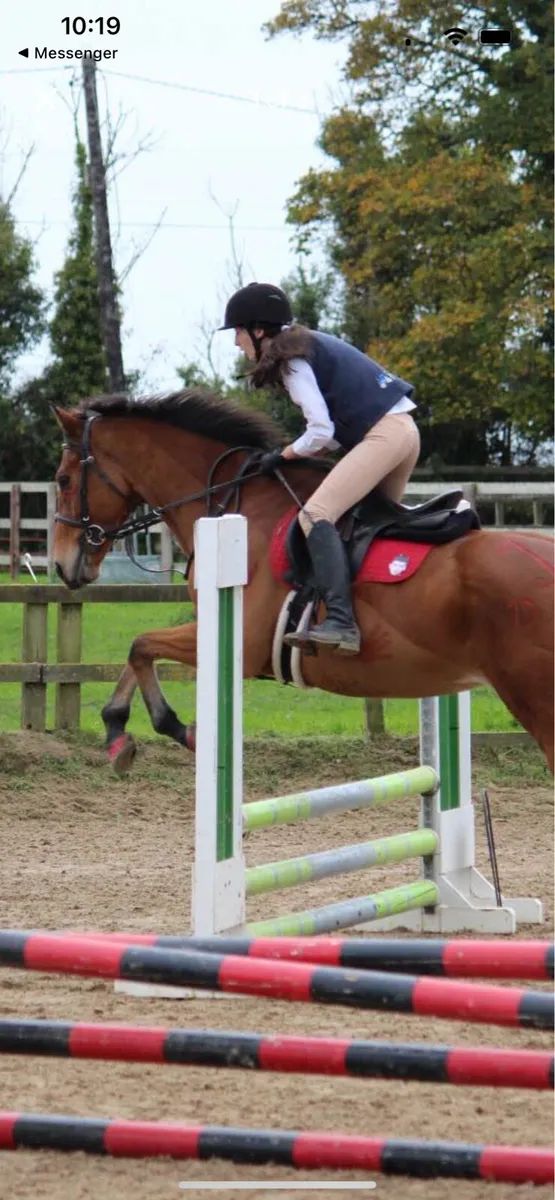 Black Country Saddle - Image 2