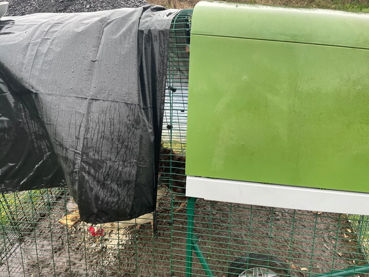 Omlet Chicken coop and three chickens. - Image 1