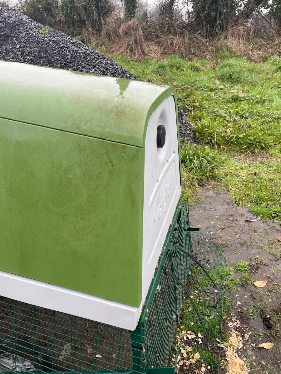 Omlet Chicken coop and three chickens. - Image 2