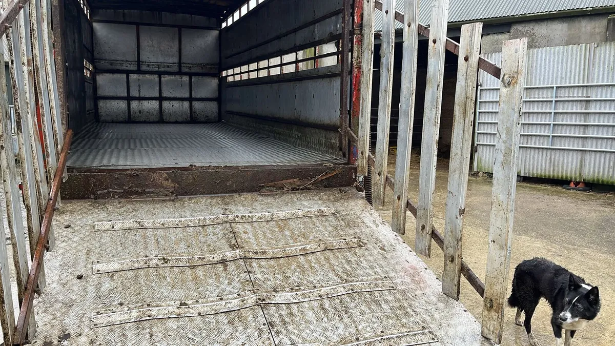 Cattle Livestock trailer - Image 4