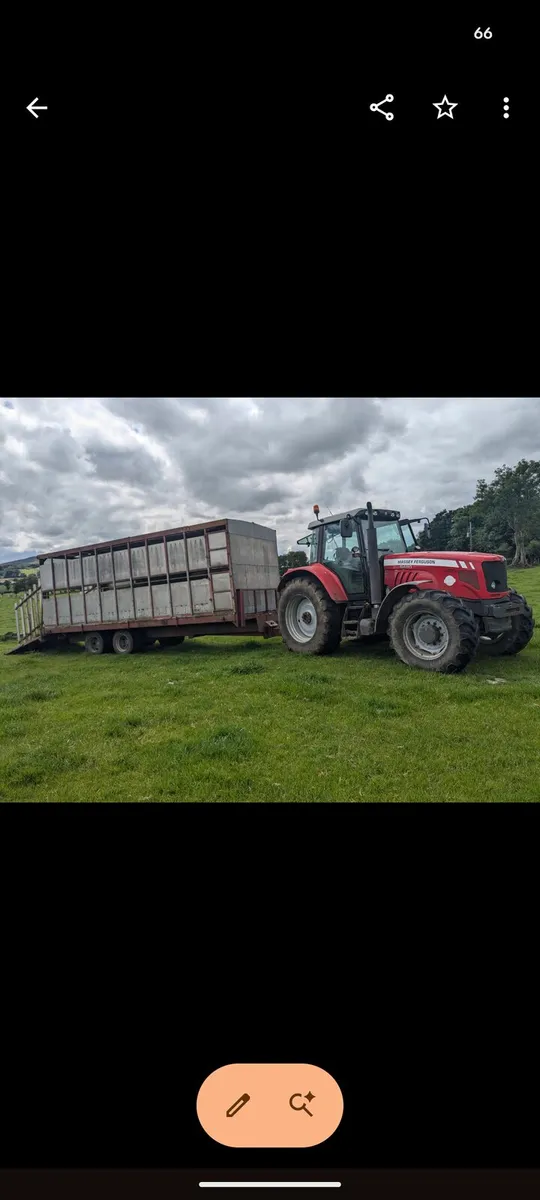 Cattle Livestock trailer - Image 2