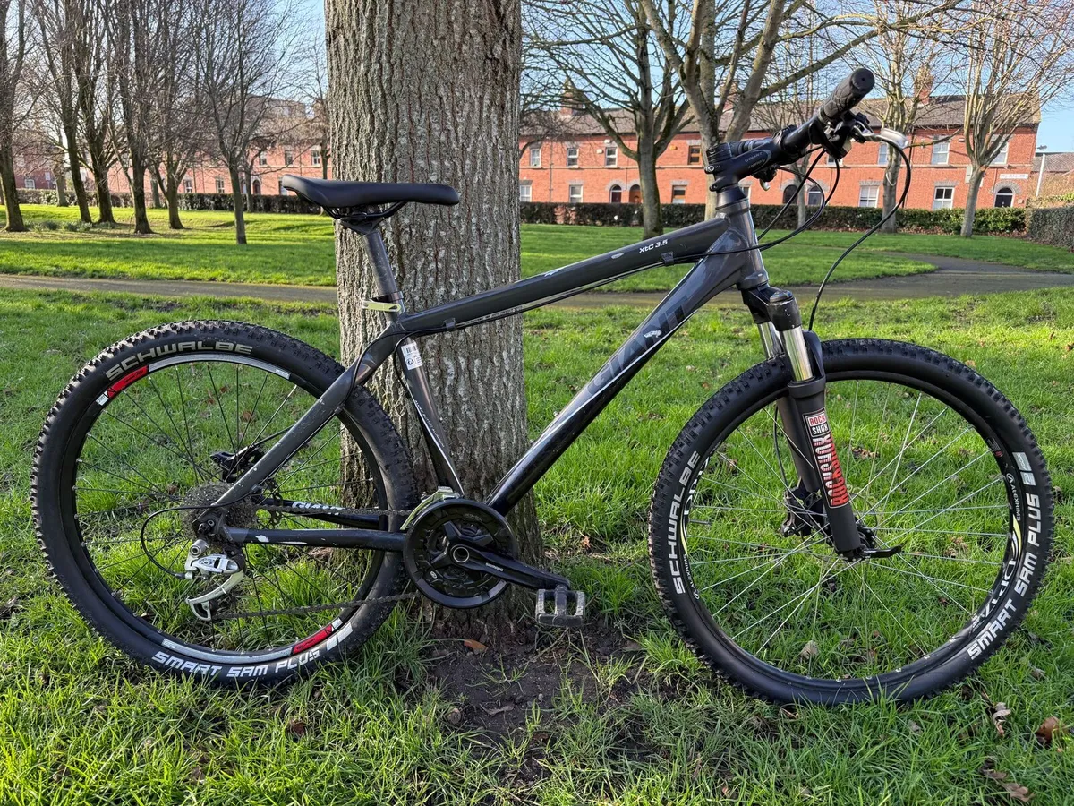 Giant Mountain Bike - Image 1