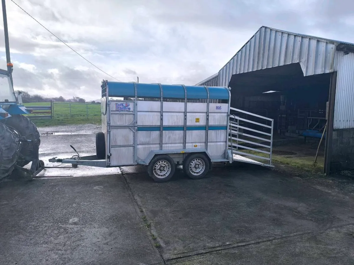 Cattle Trailer - Image 2
