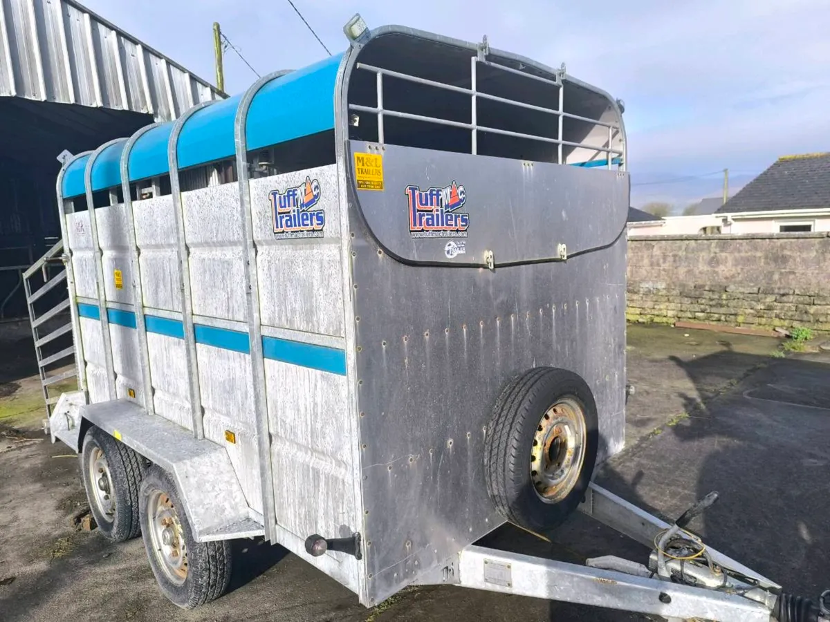 Cattle Trailer - Image 4