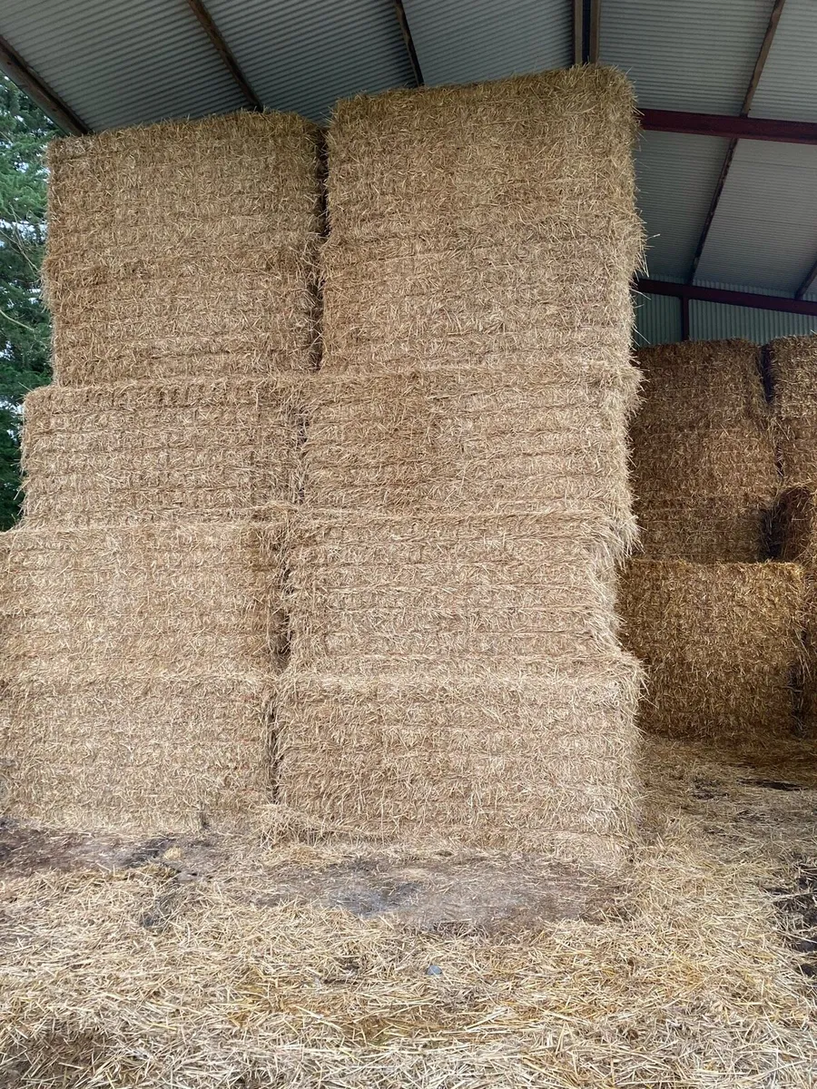 Straw Bales