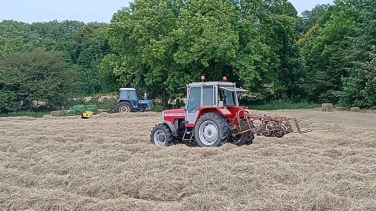 Square bales of hay - Image 2