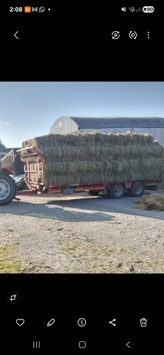 Square bales of hay - Image 1