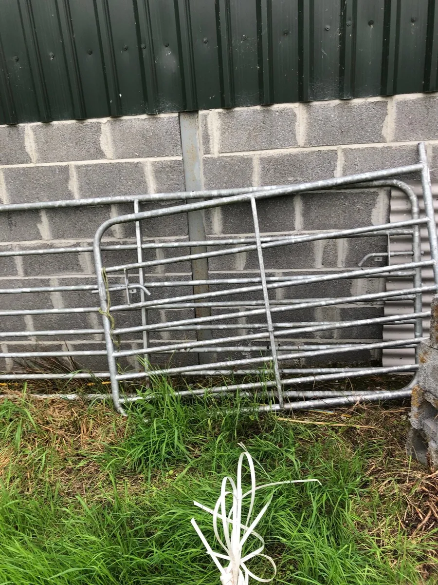 Farm gates - Image 4