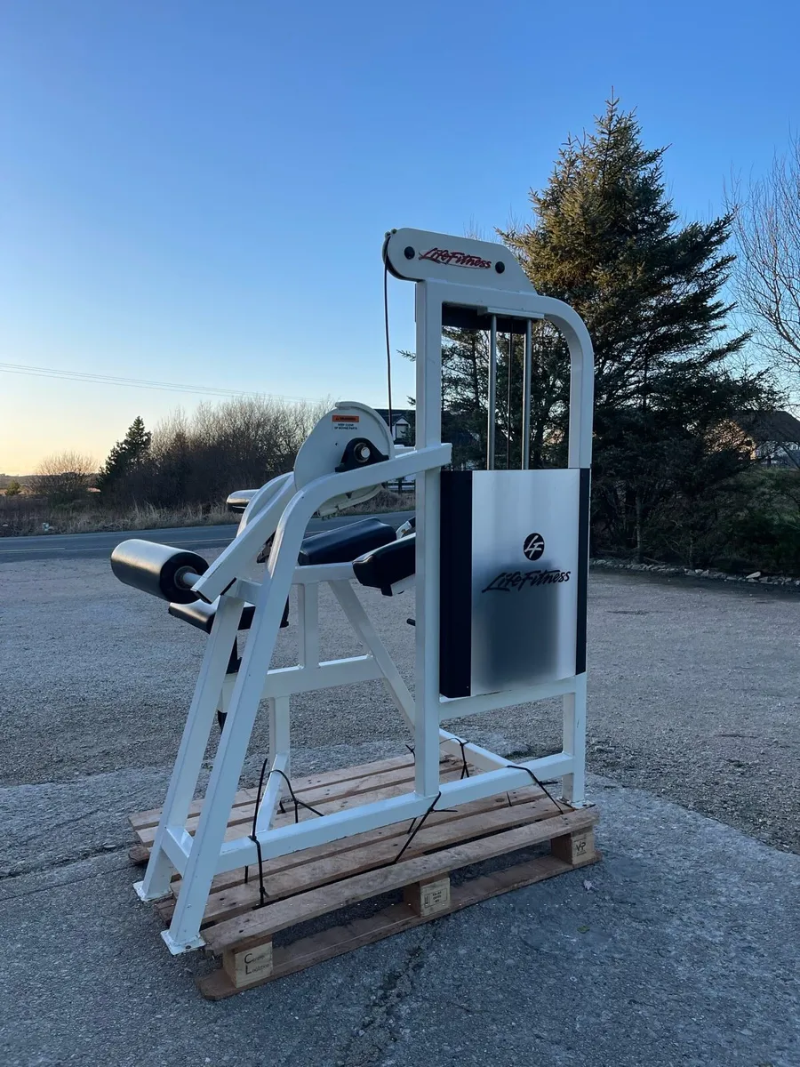 Life Fitness Pro 1 Glute - Image 2