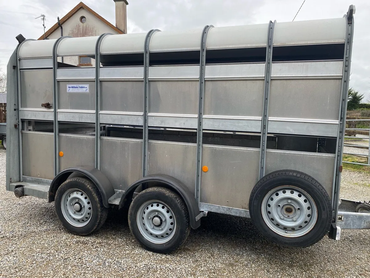 Iforwilliams 12x5”10 cattle box - Image 2