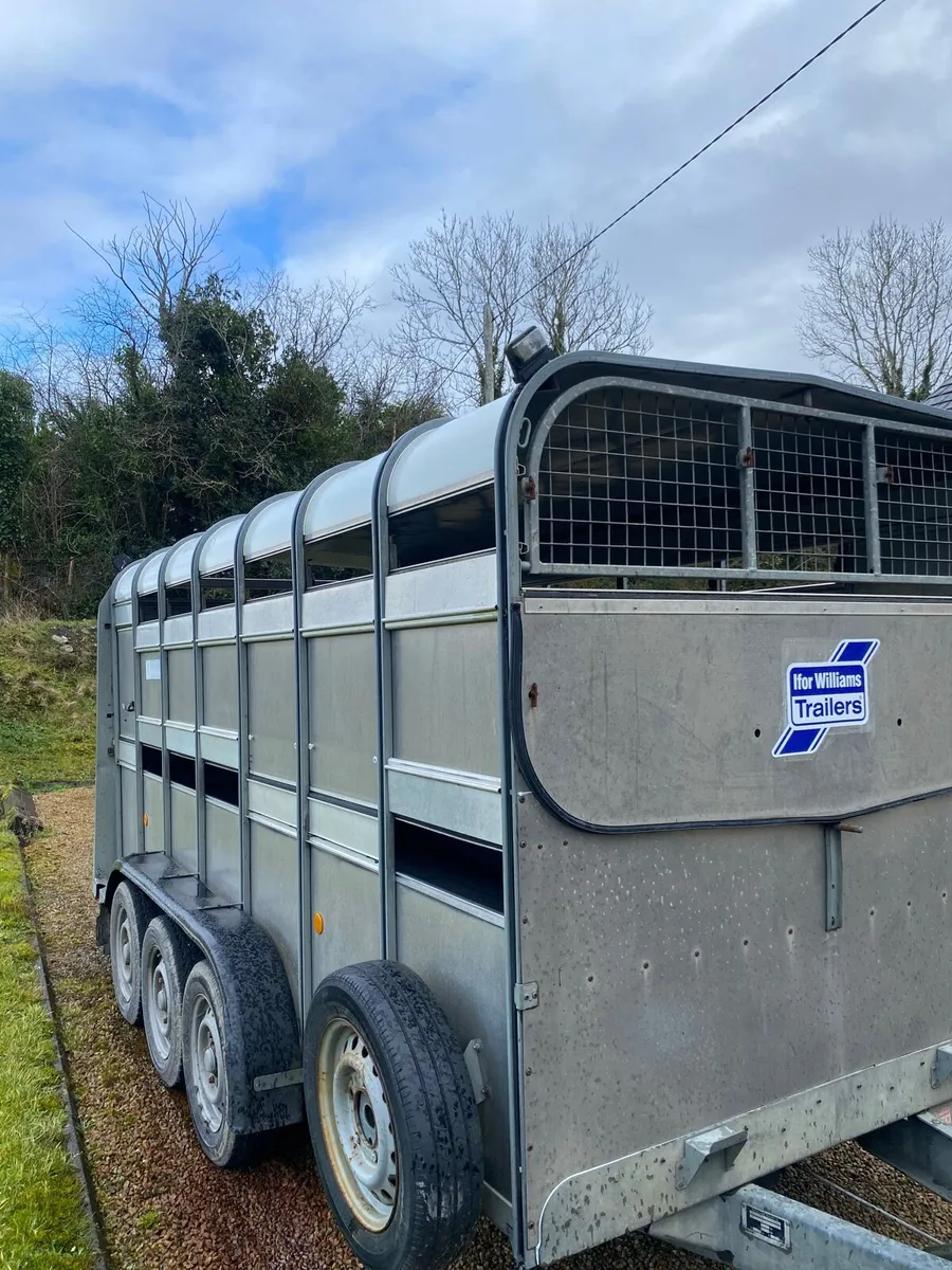 Ifor Williams 14 ft Tri axle - Image 2