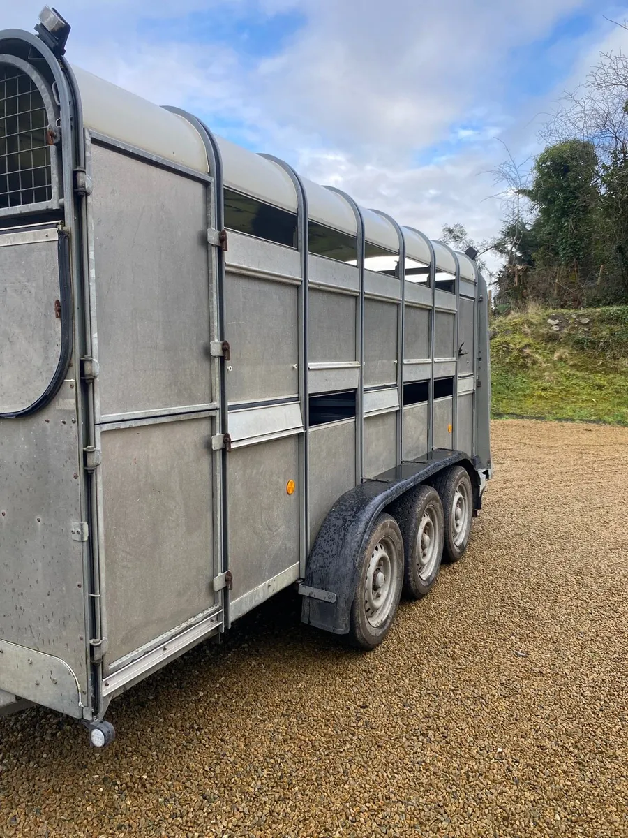 Ifor Williams 14 ft Tri axle - Image 4