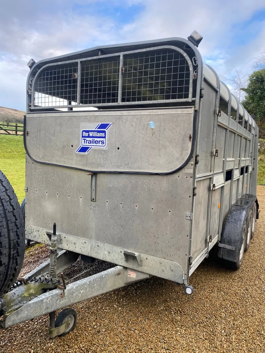 Ifor Williams 14 ft Tri axle - Image 1