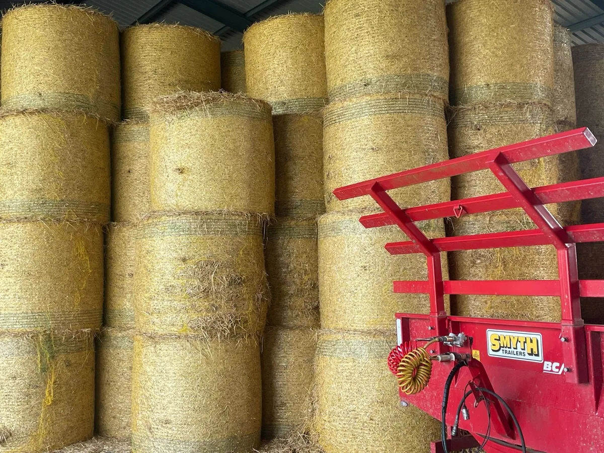 Barley straw - Image 2