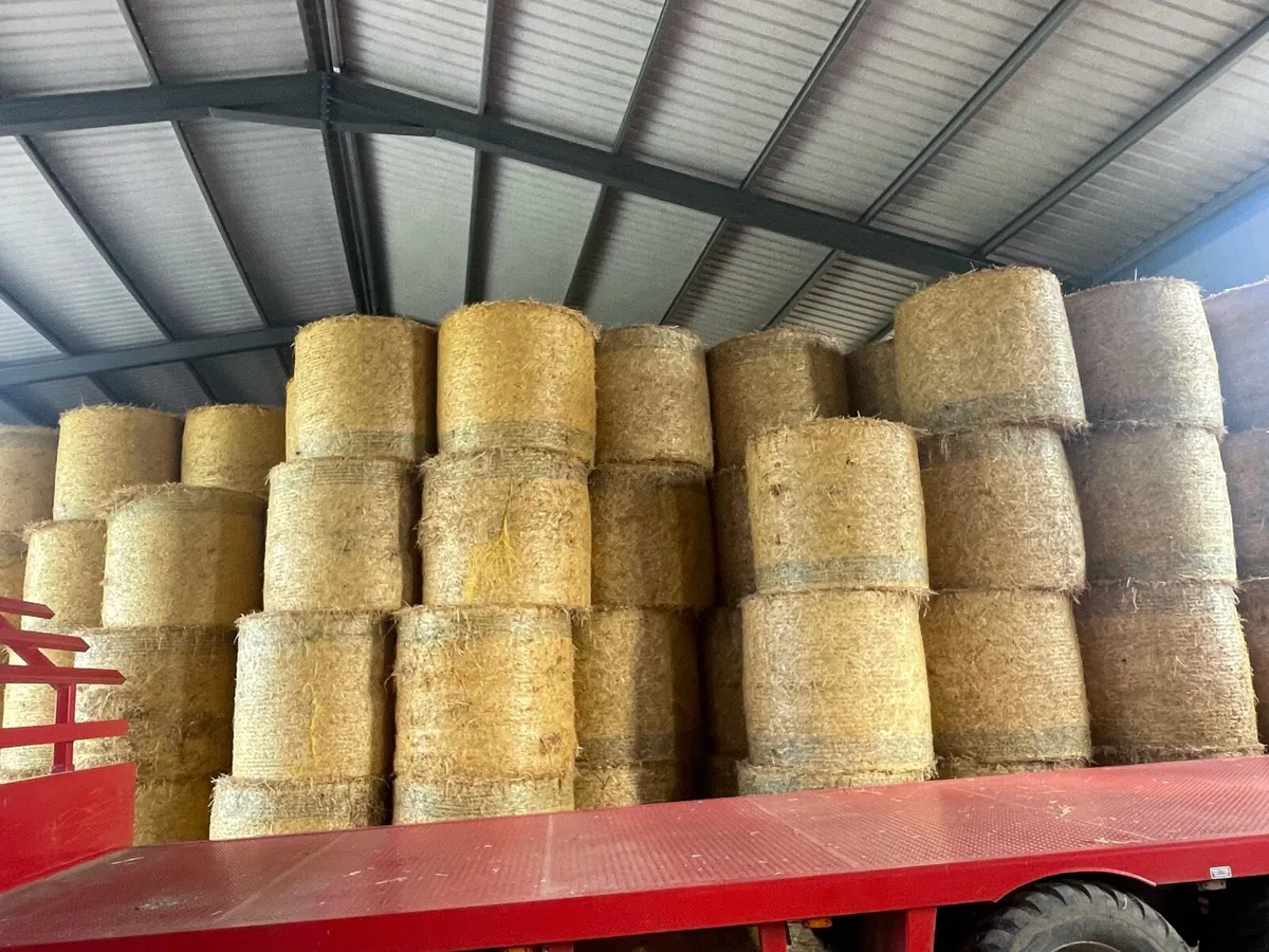 Barley straw - Image 1