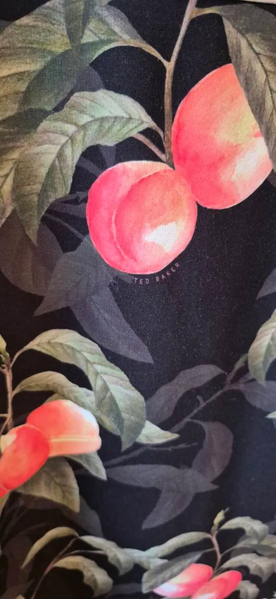 Ted Baker Dress - Image 4