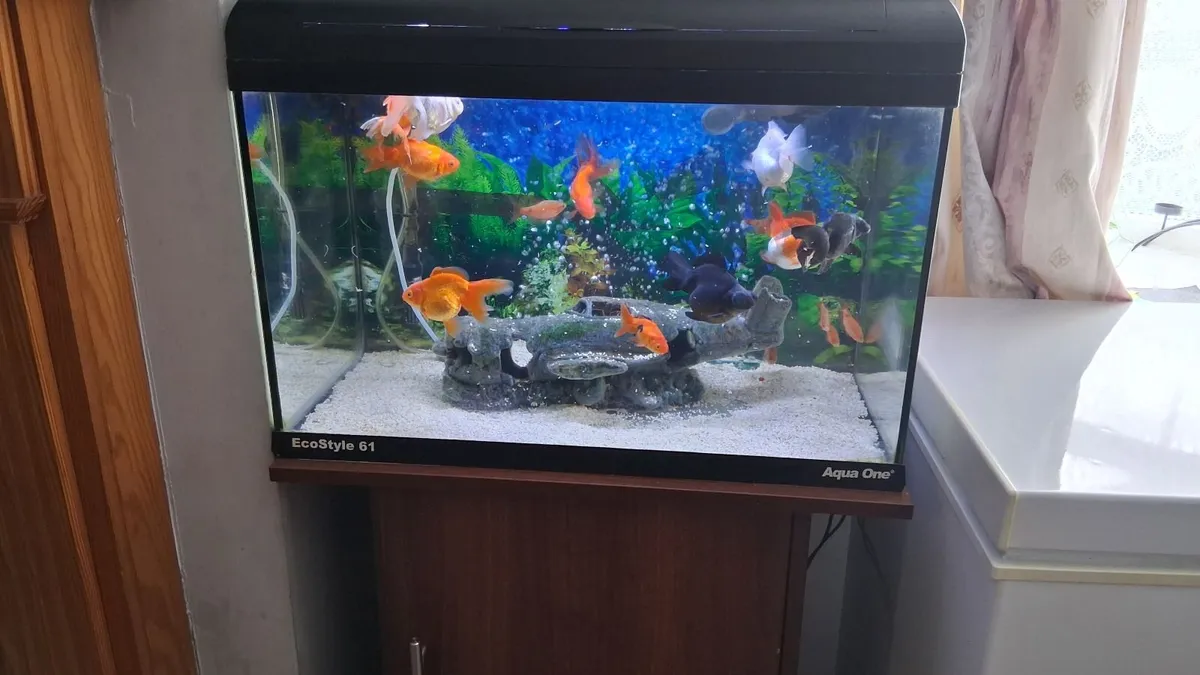 2× fishtanks forsale - Image 2
